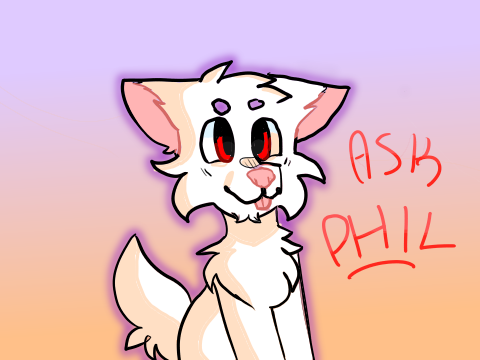 Q&A