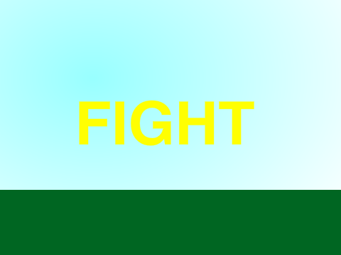Fight!