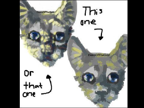 Which one is better? 