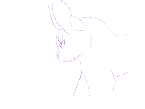 Animation Thing?