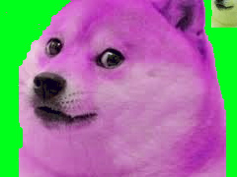 doge trail.