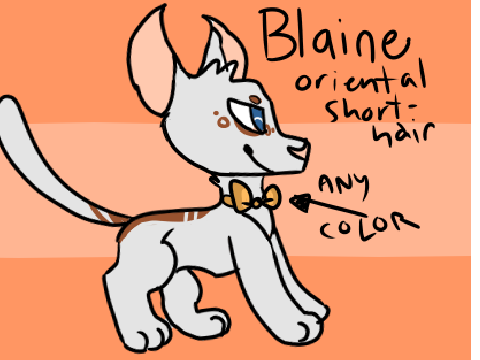 Blaine: Fursona Reference