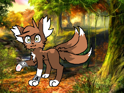 = ! Xenon's Character Design Contest ! = Sora