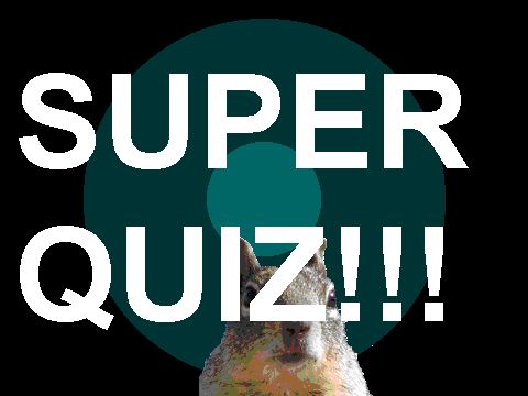 Super Quiz!!!