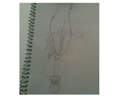 I drew something...
