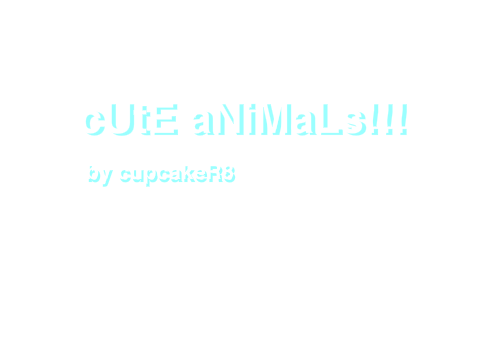 cUtE aNiMaLs cOmPiLaTiOn!!!!