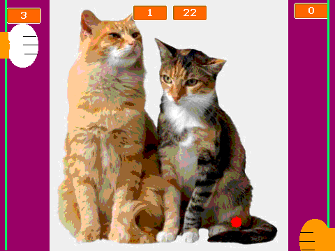 Cat pong