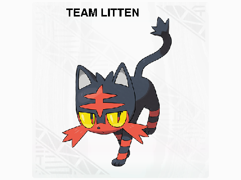 TEAM LITTEN!!!!!!