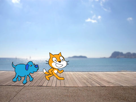 cat+dog