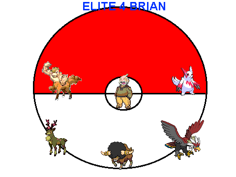 Elite 4-Brian!