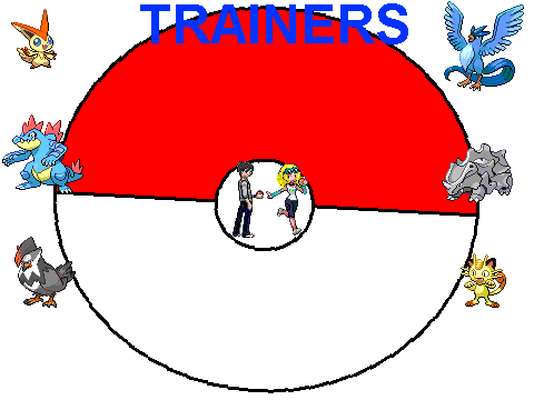 Quanto Trainers!