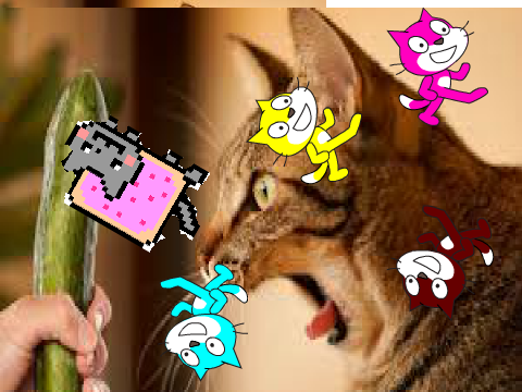 Cat Spin Ft Nyan Cat