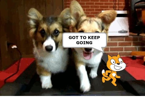 Puppy Run- NO CATS ALLOWED!