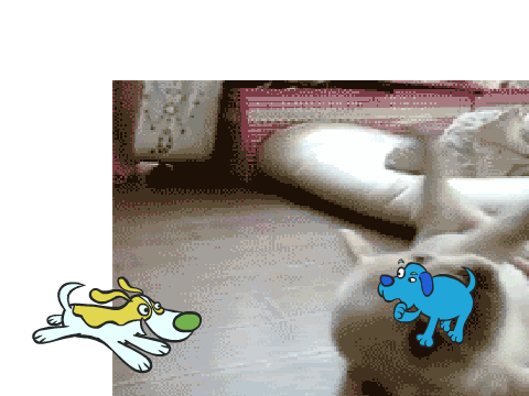 Stop! Dog.....