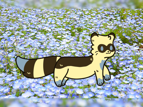 200 Followers Ermine DTA!