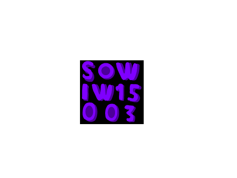 For sowiw15003