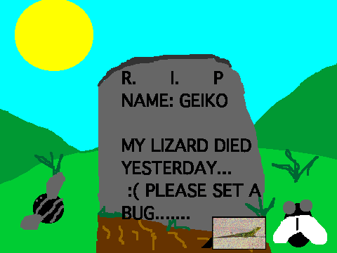 PlEASE SET A BUG FOR MY DEAD LIZARD[1]
