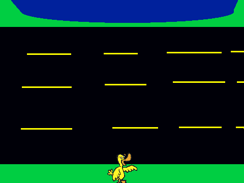 road kill
