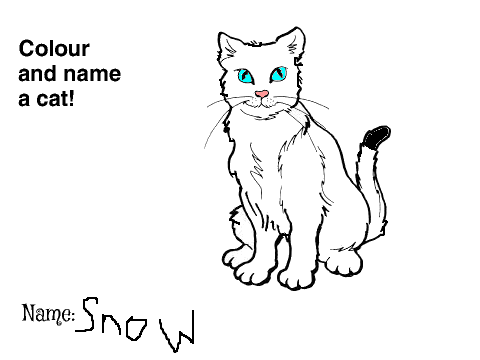 Colour and name a cat competition Entry