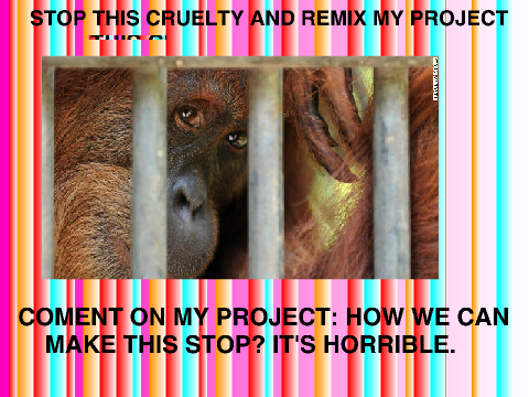 STOP cruelty to animals. REMIX if you are with me. remix remix