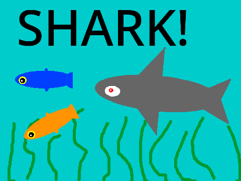 SHARK!!!