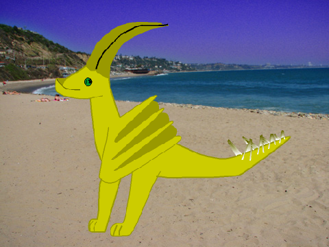 bucket face the sand dragon