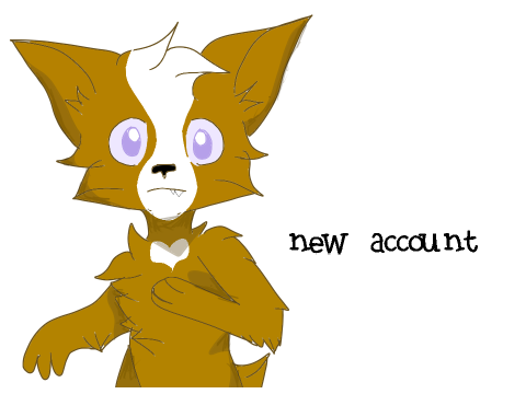 My New Account 