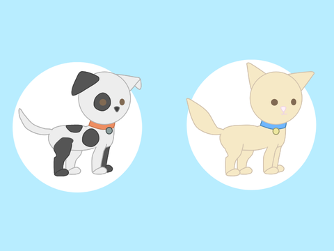 Pet Owner (game)