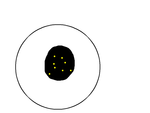 My Nighwing egg