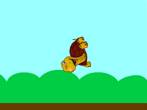 spinning turtle
