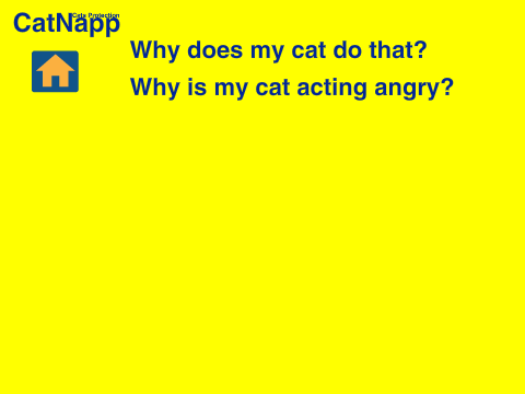  CatNapp Concept 1