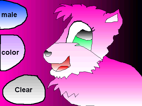 Create your cat