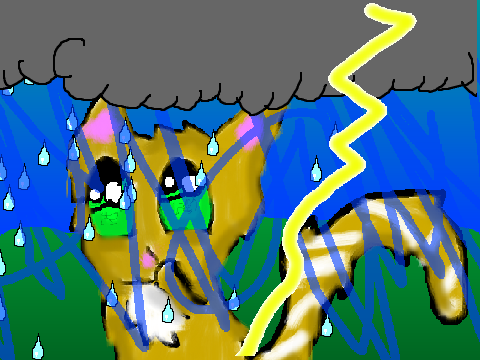 RAIN CCE