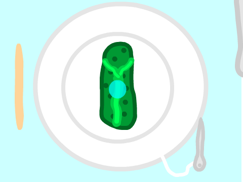 Pickle Autopsy!