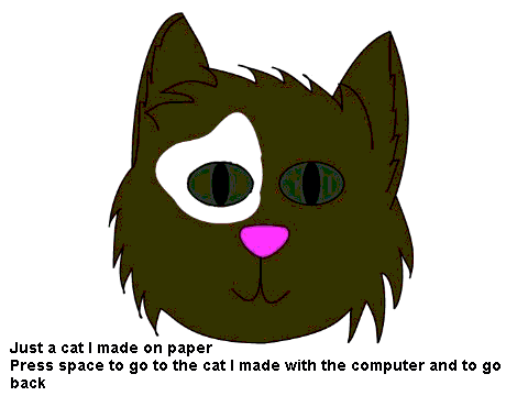 A cat picture
