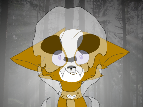 Skulls |original meme|