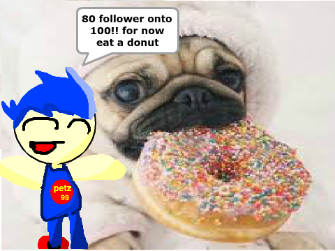80 followers!!! THANK YOU