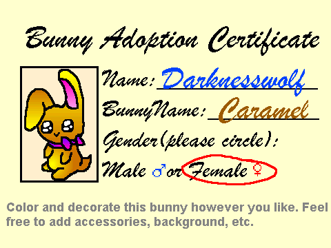 My bunny