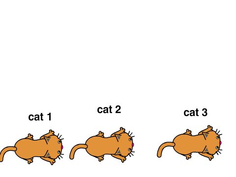 Adopt a cat