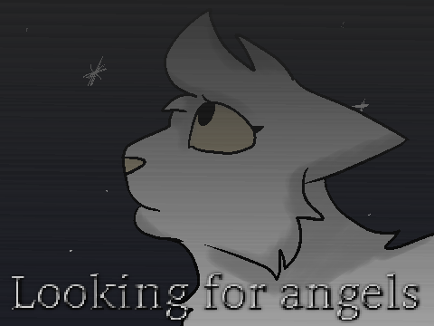 //1// Looking for Angels REDONE