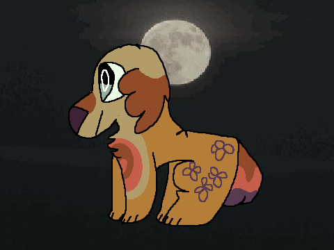 P!ATD PUPS - DTA