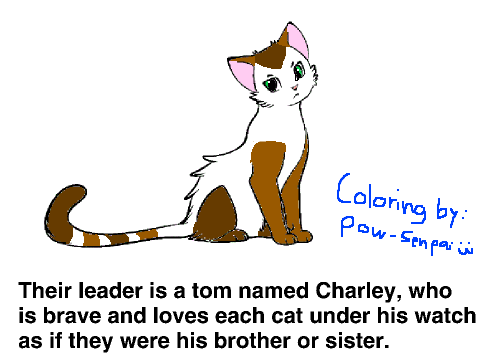 About the Kittypets remix