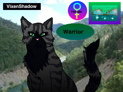 VisenShadow