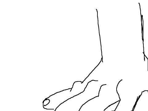 animation practice thingy