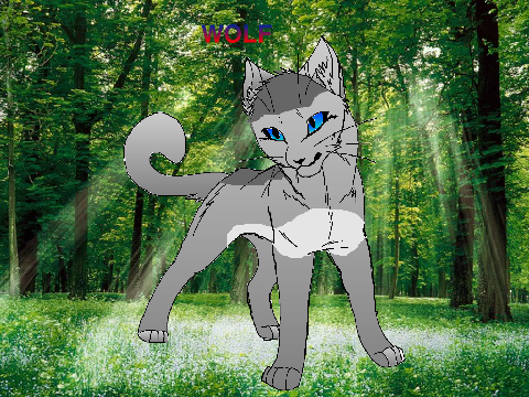 unknown blood wolf