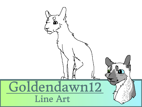 .:Daily drawing (Day 1):.