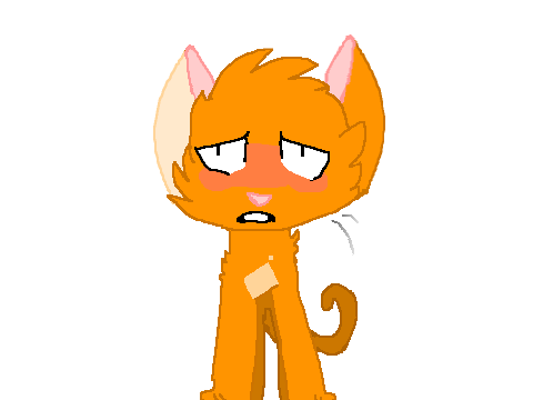 More Animation Practice