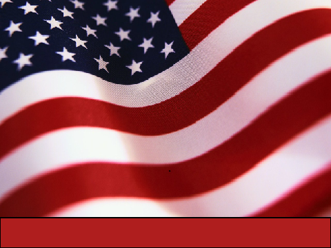 Honor Veteran's Day