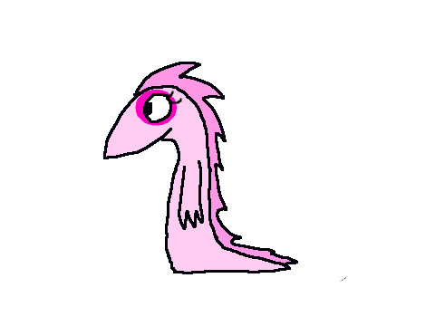 Meet Cottonflower-Tak