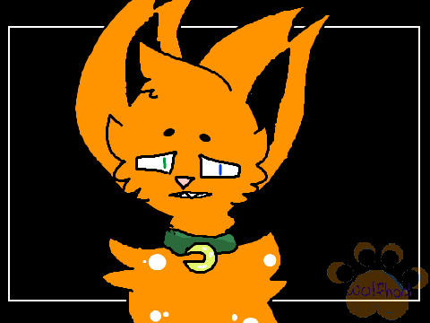| MEME| - So Dang Dark FOX remix